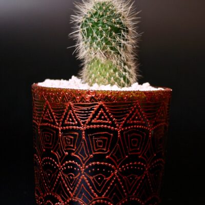 Opulent pot & plant - Dark green/copper/Rebutia