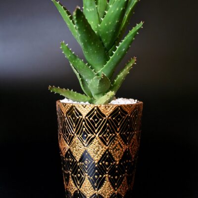 Opulent pot & plant - Dark green/gold/Aloe Mitriformis