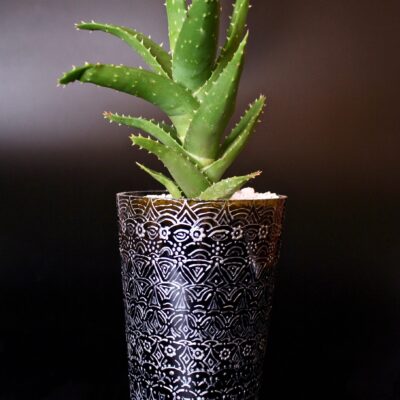 Opulent pot & plant - Dark green/silver/Aloe Mitriformis
