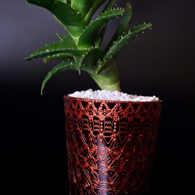 Opulent pot & plant - Dark brown/copper/Aloe Mitriformis