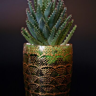Opulent pot & plant - Dark green/gold/Aloe Mitriformis