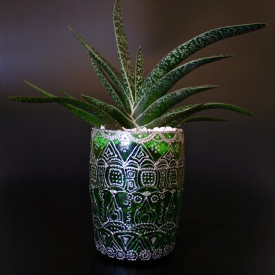 Opulent pot & plant - Dark green/silver/Gastria Macalata