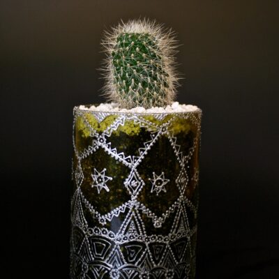 Opulent pot & plant - Dark green/silver/Rebutia