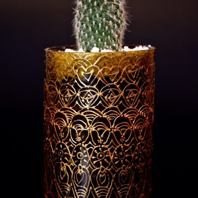 Opulent pot & plant - Dark green/gold/Rebutia