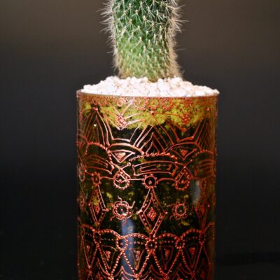 Opulent pot & plant - Dark green/copper/Rebutia