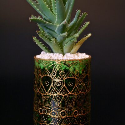 Opulent pot & plant - Dark green/gold/Aloe Mitriformis