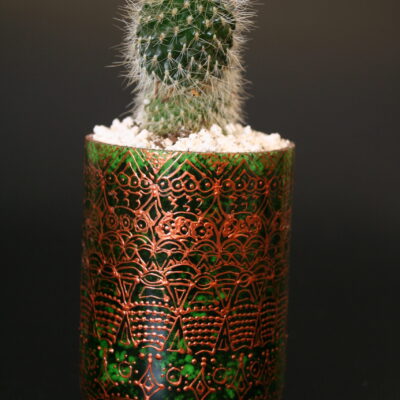 Opulent pot & plant - Dark green/copper/Rebutia
