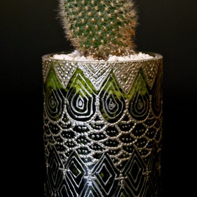 Opulent pot & plant - Dark green/silver/Rebutia