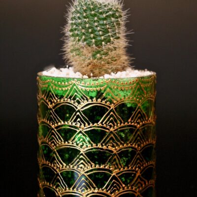 Opulent pot & plant - Dark green/gold/Rebutia