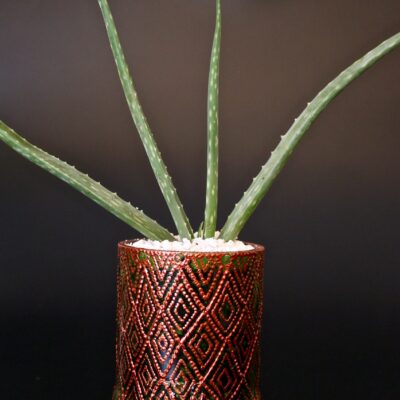Opulent pot & plant - Dark green/copper/Aloe Vera
