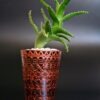 Opulent pot & plant - Dark brown/copper/Aloe Mitriformis Available June 2024 - Image 4