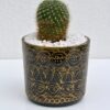 Opulent pot & plant - Dark green/gold/Rebutia Available June 2024 - Image 2