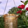 Opulent Lantern - Gold-Medium - OUT OF STOCK - Image 3