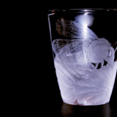 Elaborate Hand engraved shot glass (Bee Kind)